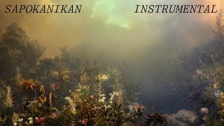 Video thumbnail of "Sapokanikan (instrumental cover) - Joanna Newsom"