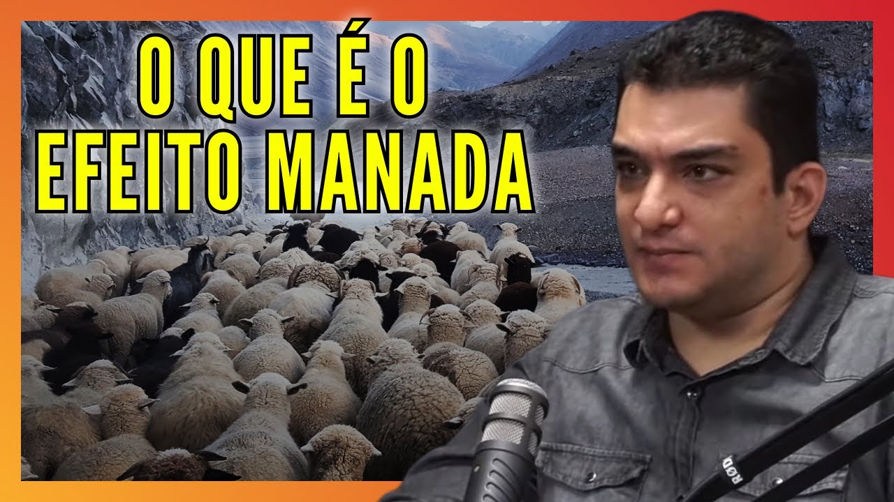 O que é o Efeito Manada - YouTube