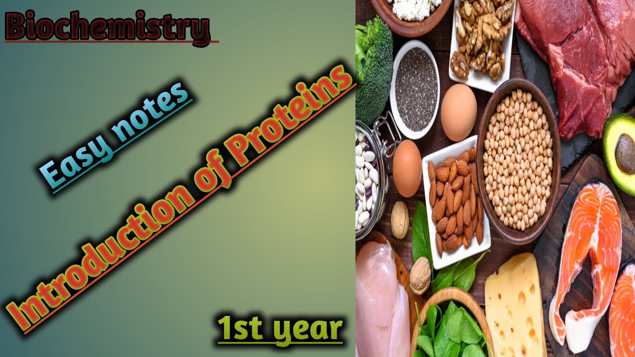 Introduction of Proteins I Urdu lecture I lecture with Madam Sara Ejaz