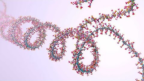 What is the Goal of Within Sample Normalization in RNA Sequencing Analysis?
