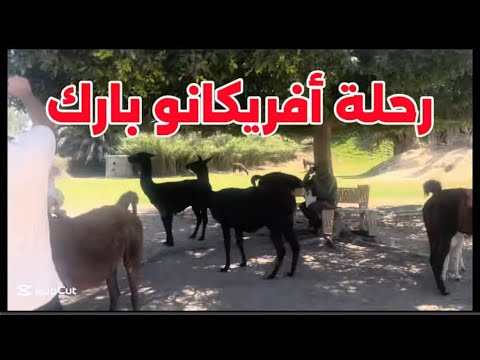 أفريكانو بارك رحلة كاملة اكسبلور الاطفال