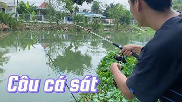 Một ngày đi câu cá sát, bãi câu tạp hoá diệu hiền Phú Thứ, Cái Răng, Cần Thơ