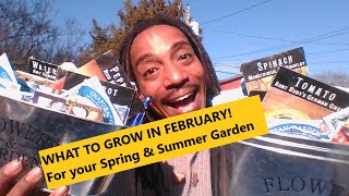 WHAT TO GROW IN FEBRUARY | EASY SEEDS TO PLANT NOW FOR YOUR SPRING AND SUMMER GARDEN | #withme