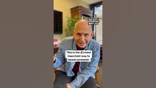 #1 Way to Boost Serotonin | Dr. Daniel Amen