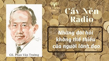 9 đòi hỏi không thể thiếu của người lãnh đạo công ty | Tác giả: GS. Phan Văn Trường | Cấy Nền Radio