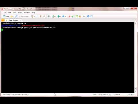 RESTXpress application via shell console.