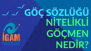 Göç Sözlüğü - Nitelikli Göçmen Nedir? screenshot 2