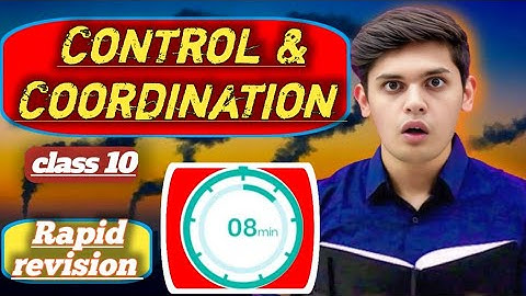Control And Coordination Rapid Revision Oneshot | Biology Quick Revision Class 10th Science