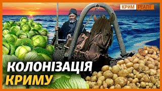 Почему украинцы были успешнее русских в Крыму? | Крым.Реалии