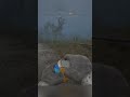STALKER 2: How to save your game in the Zone! #PepperMode #shorts #gaming #tutorial