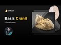 Basis cranii  2minute anatomy  medical  vlearning  sqadiacom