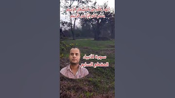 سورة الأنبياء المقطع السابع.. محمود الجزار