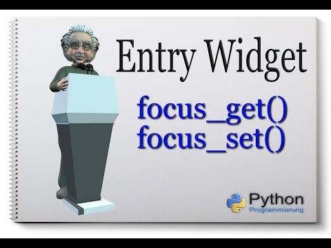 Python Tkinter Entry Widget [focus_get() and focus_set()] english #4