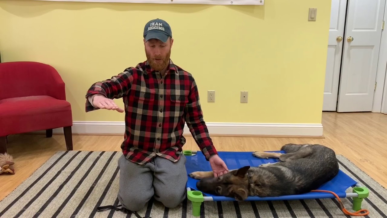 Mega Day 8 - Conditioned Relaxation