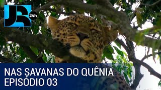 Nas Savanas do Quênia: vida selvagem atrai turistas do mundo inteiro