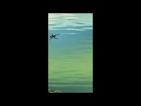 Cover Thundercat - Fair Chance but slowed