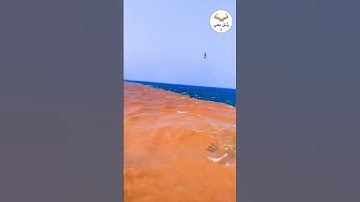 مرج البحرين يلتقيان بينهما برزخ لا يبغيان | تلاوة خاشعة للشيخ عبد الباسط عبد الصمد #قرآن