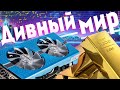 Вертел я такие цены на видеокарты