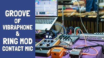 Vibraphone with Ring Modulator and Contact Microphone / MOOG MF-102 and Schertler