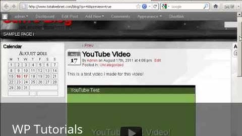 Video 20 Add YouTube Videos to WordPress Automatically