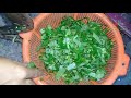 Kalmi Shak Recipe ❤ How To Cook Water Spinach Recipe With Lentil and Potato-Village Food Factory #49