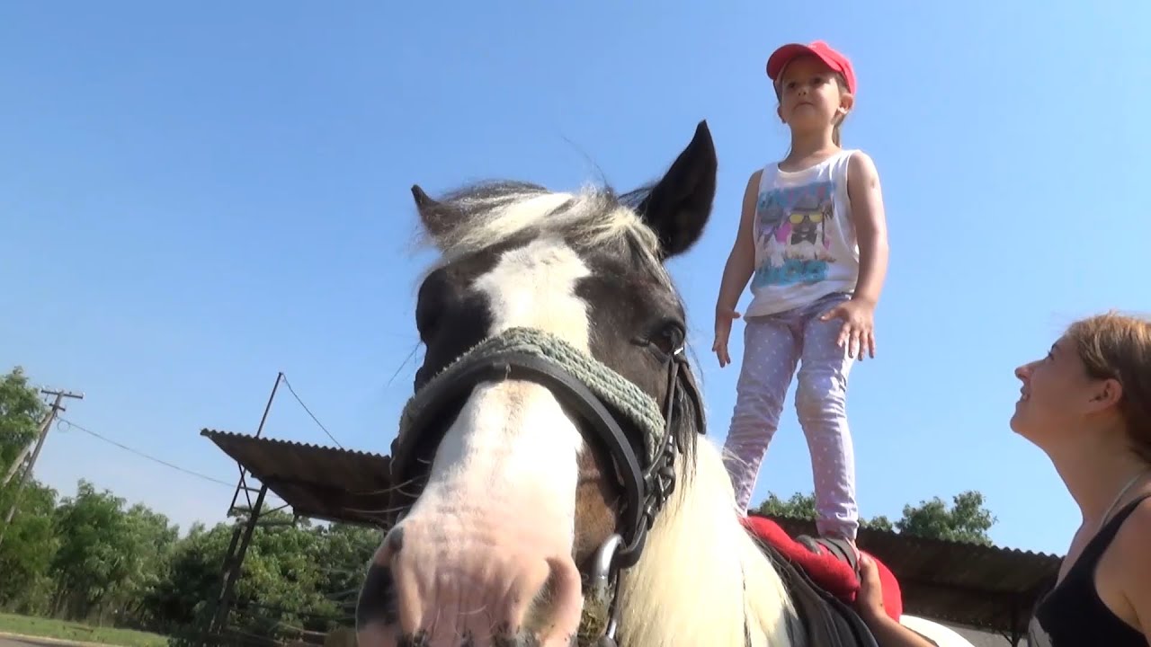 A Tűzköves Alapítvány első lovas tábora