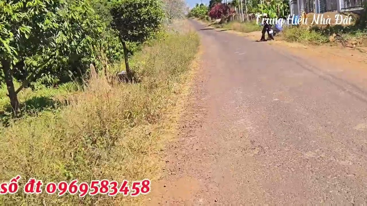 Lô 4 sào 800 khu dân cư tại iapia gia lai #nhadat #bds #nhadatgialaigiare #nhadatgialai #bdsgialai