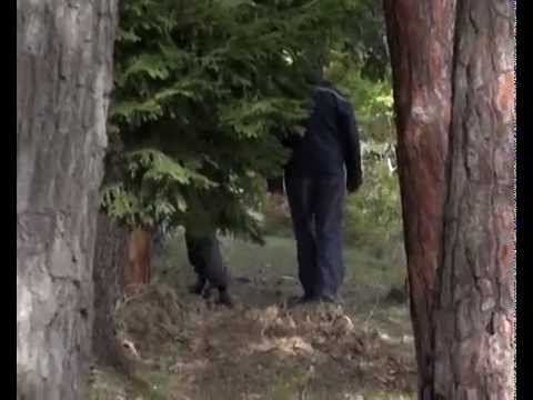 ბორჯომში 79 წლის მამაკაცს მესამე დღეა ეძებენ