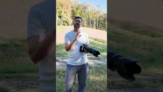 When to Turn Off Exposure Simulation - Quick Wildlife Photo Tip #wildlifephotography