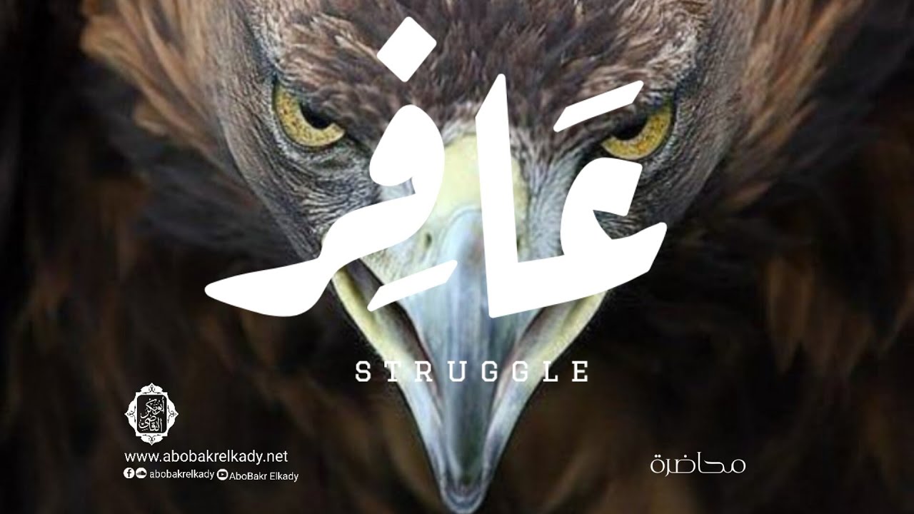 عافر..🦅|محاضرة|د. أبوبكر القاضي