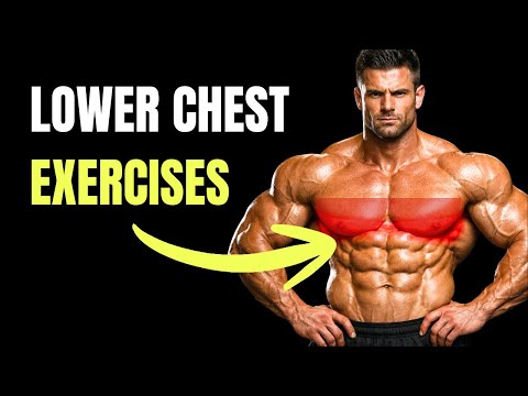 Transform Your Lower Chest in Weeks with These 5 Workouts (Rounded Pecs)