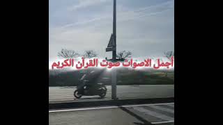 #سوره العنكبوت بصوت جميل للشيخ حمزه الجزائري ♥️