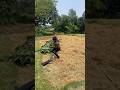 beast funny video 3