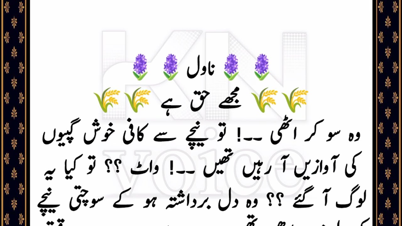 RAMZAN SPECIAL NOVEL 