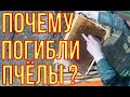 Почему погибли пчёлы. Пчеловодство для начинающих.