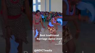 Download Lagu Best traditional Mariage dance ever #youtubeshorts MP3 Download Lagu Best traditional Mariage dance ever #youtubeshorts MP3