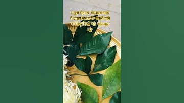 #pandit_pradeep_ji_mishra #upay# सोमवार के दिन सरकारी नौकरी पाने के लिए करें अचूक उपाय