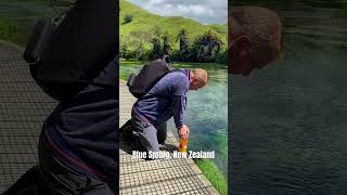 Love to make drinking water on the go with our #grayl especially in places like #newzealand