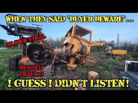 REGRETFUL AUCTION BUYS AND REVIVE N DRIVES!!! DG thumbnail