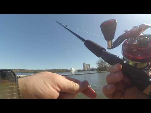 Street Fishing!!! Urban shore fishing, what's at the boat station. Checking out new boats.
