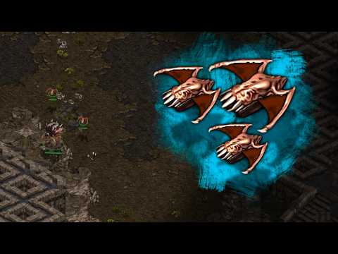BEST Strategic ZvZ of ALL TIME. (seriously, do yourself a favor and watch this, its insane.)