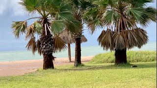 Aransas County, Texas!