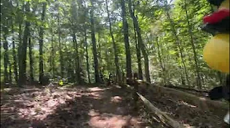 Searching for trails ￼