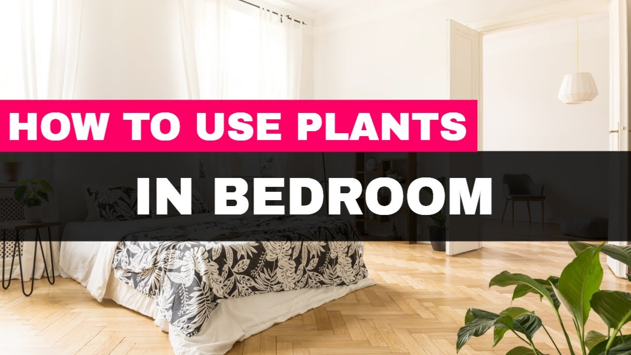 How to Use Plants in Your Bedroom for Good Feng Shui