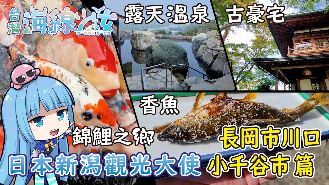 露天溫泉、超多大錦鯉、豪華古宅、肥美烤香魚！#日本鄉下哪裡好玩#新潟