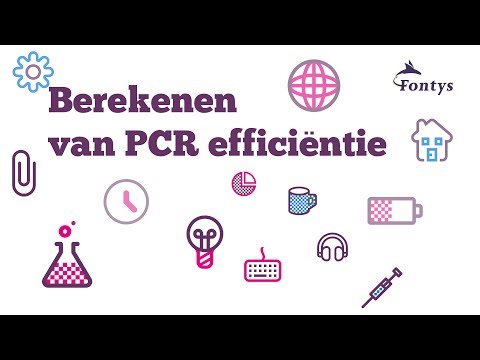 Video: Wat is de functie van de primers in PCR?
