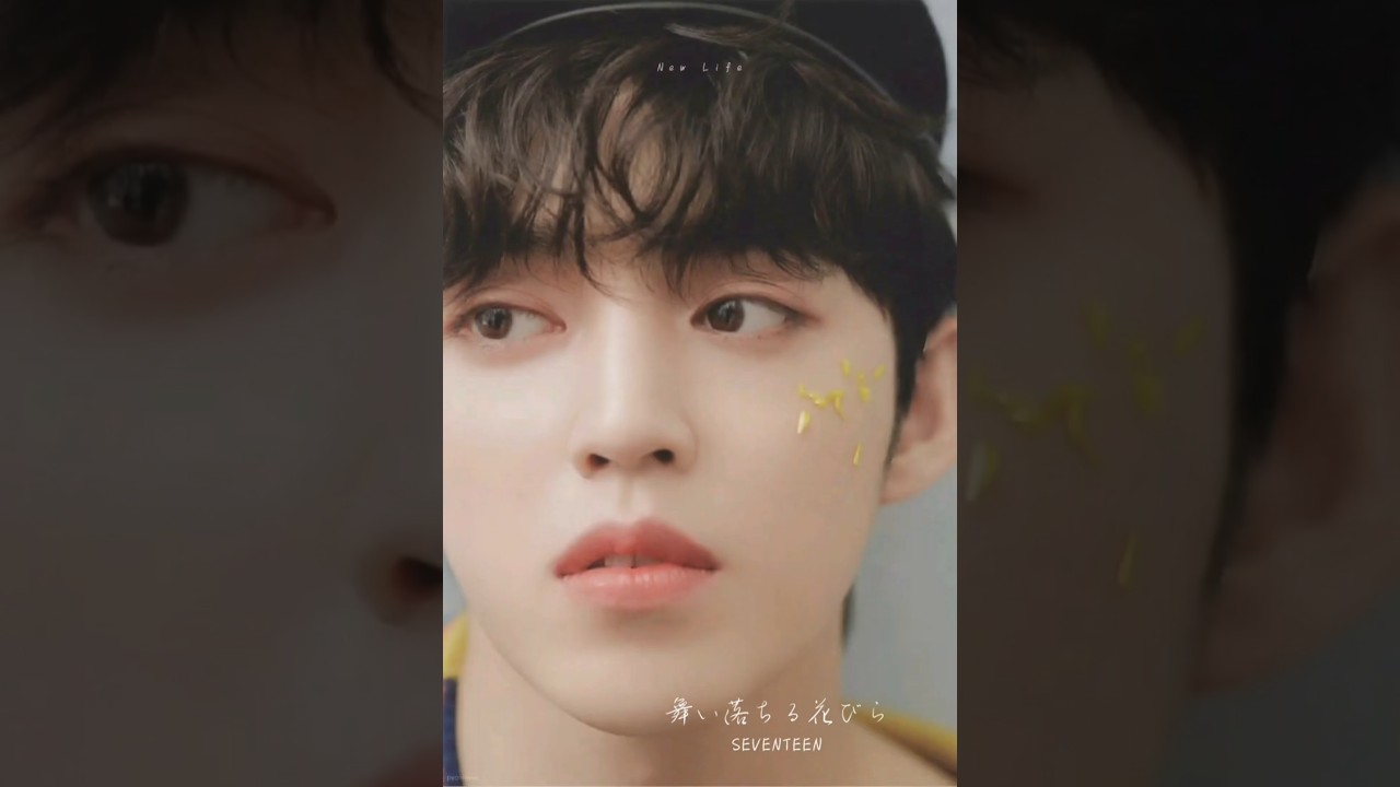 舞い落ちる花びら intro #SEVENTEEN #scoups #jeonghan #joshua - YouTube
