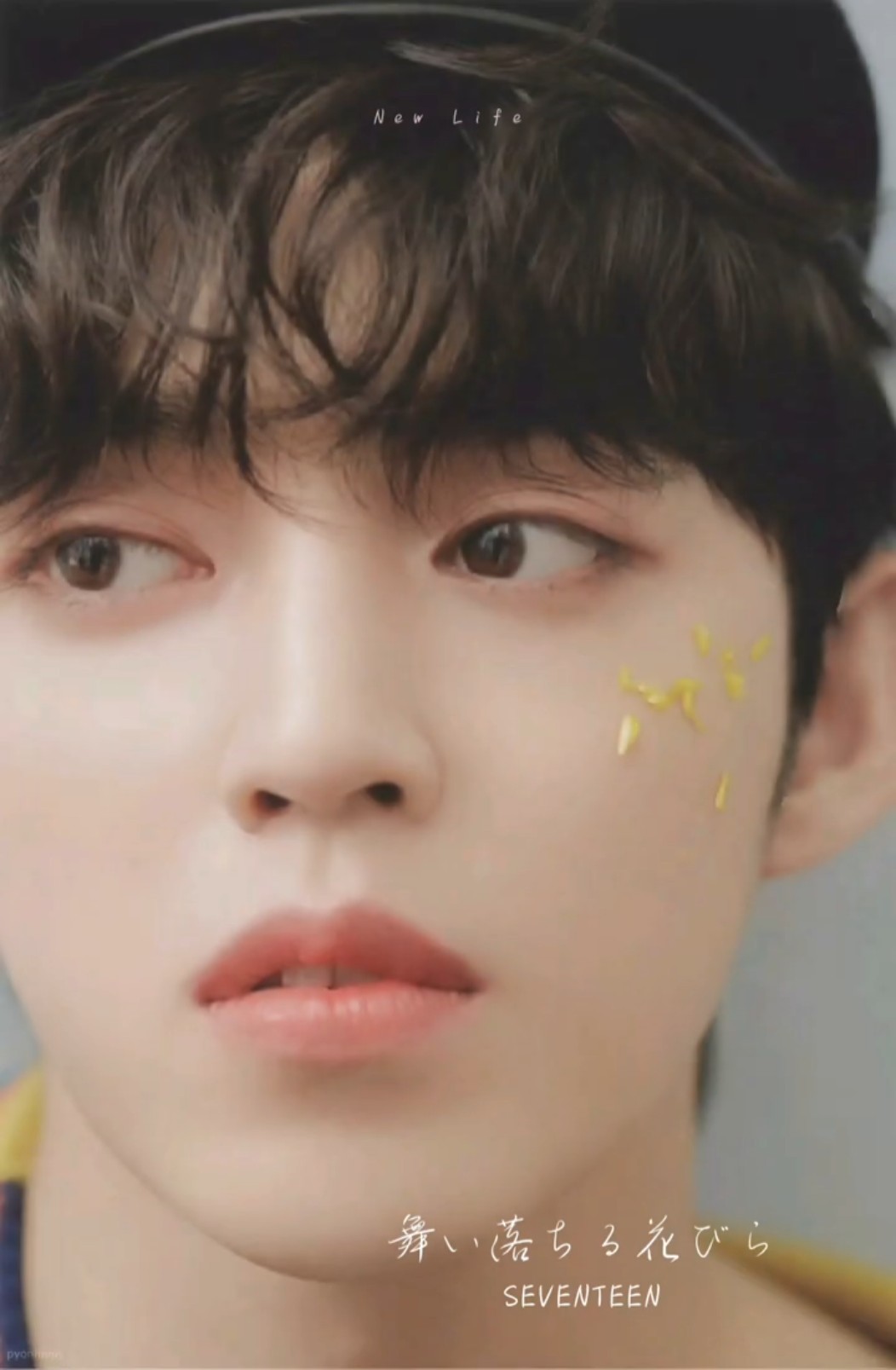 舞い落ちる花びら intro #SEVENTEEN #scoups #jeonghan #joshua - YouTube