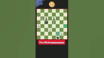 The Bishoppppppp. #chess #shorts #chessshorts