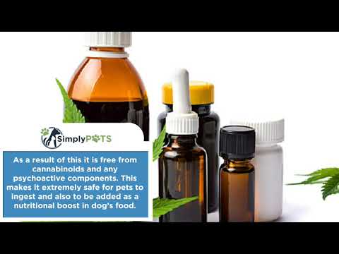 Beyond CBD: Why Terpenes Make a Difference